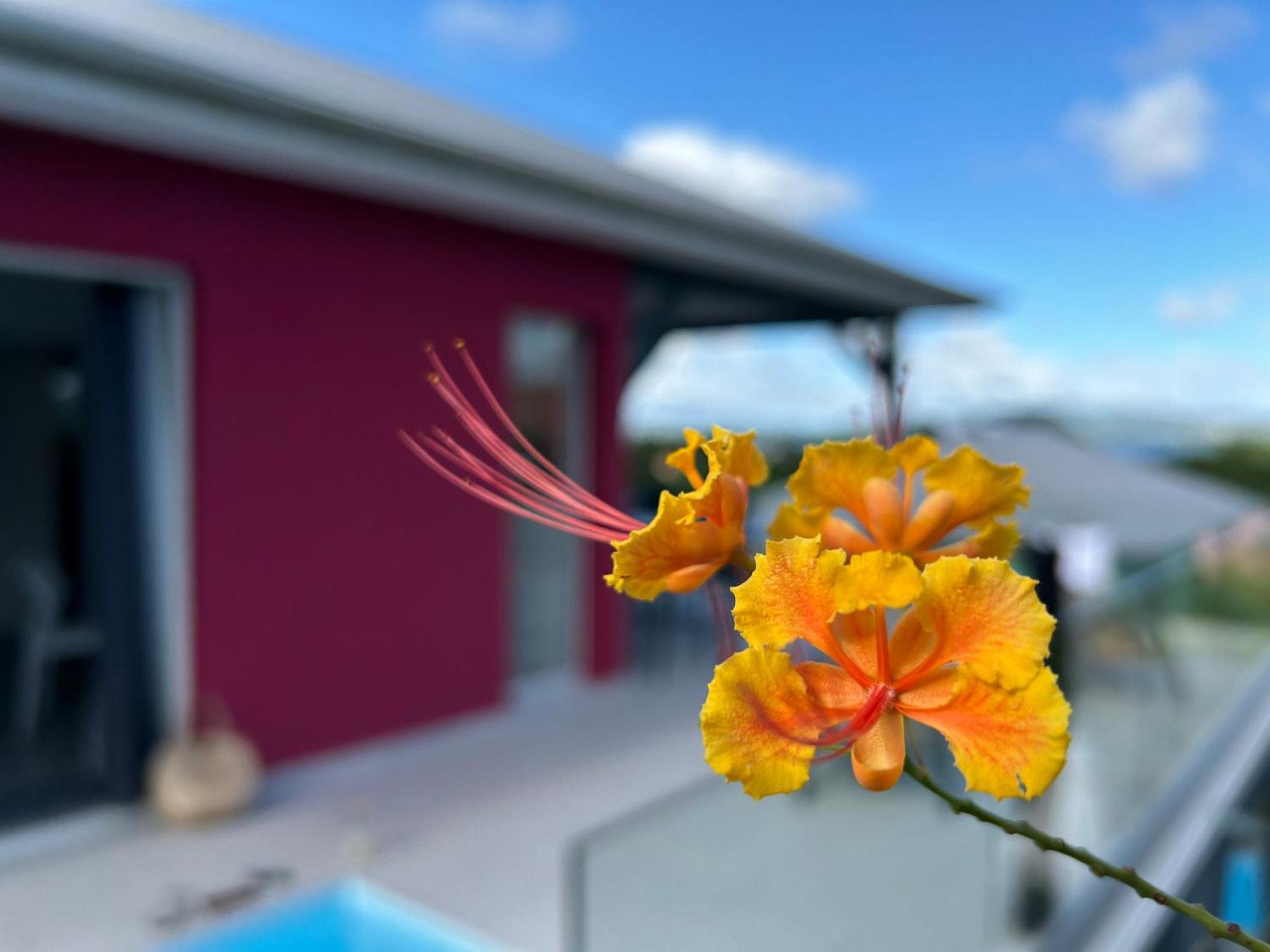 La Villa Jalna Grenadine Deux Chambres Et Piscine Privee Les Trois-Ilets Eksteriør bilde