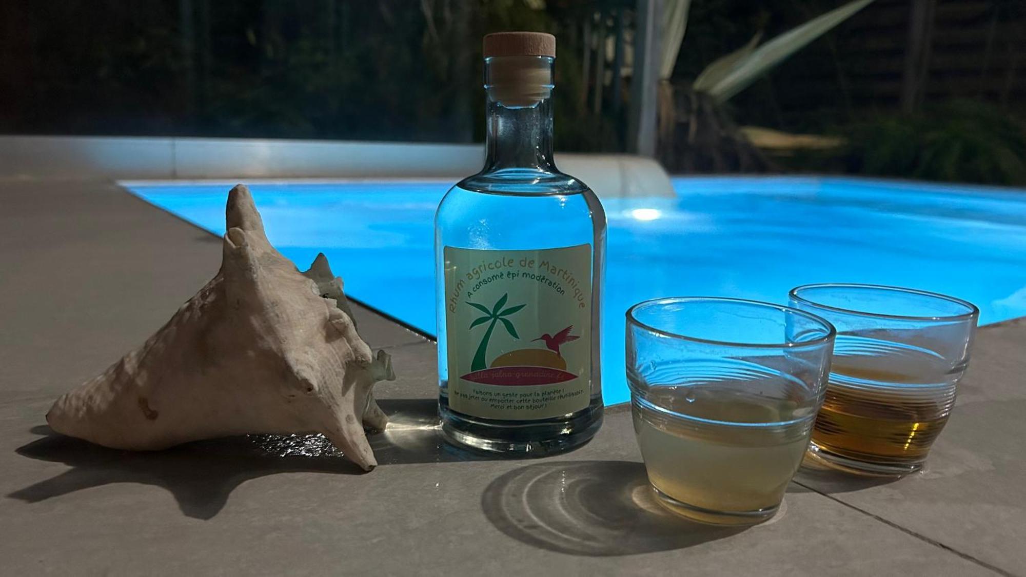 La Villa Jalna Grenadine Deux Chambres Et Piscine Privee Les Trois-Ilets Eksteriør bilde